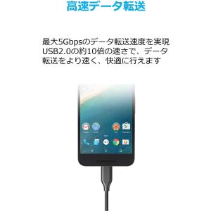 Anker USB Type C ケーブル P...の詳細画像3