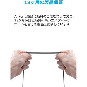 Anker USB Type C ケーブル P...の詳細画像5