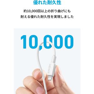 Anker 310 USB-C & ラ...の詳細画像2
