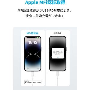 Anker 310 USB-C & ラ...の詳細画像3