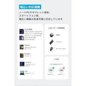 Anker USB-C & USB-C...の詳細画像4