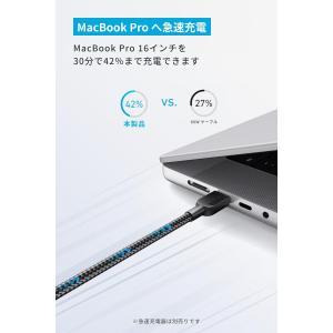 Anker USB-C & USB-C...の詳細画像1