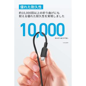 Anker 310 USB-C & U...の詳細画像2