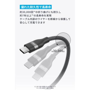 Anker USB-C & USB-C...の詳細画像3