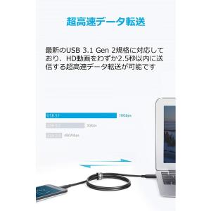 Anker PowerLine II USBC...の詳細画像1