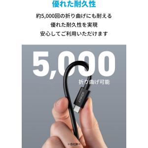Anker 515 USB-C & U...の詳細画像4