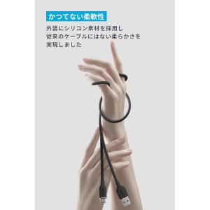 Anker USB-C & USB-A ケーブ...の詳細画像1