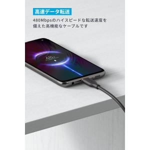 Anker USB-C & USB-A ケーブ...の詳細画像4