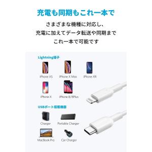 Anker PowerLine II USB-...の詳細画像2