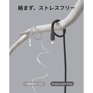 Anker PowerLine III Flo...の詳細画像2