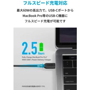 アンカー ケーブル Anker PowerLi...の詳細画像1