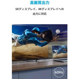 Anker USB-C & USB-C...の詳細画像3