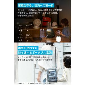 Anker Solix C300 Portab...の詳細画像2