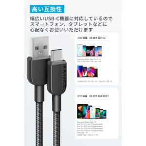 Anker 310 高耐久ナイロン USB-C...の詳細画像3