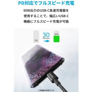 【2本セット】Anker 高耐久ナイロン US...の詳細画像1
