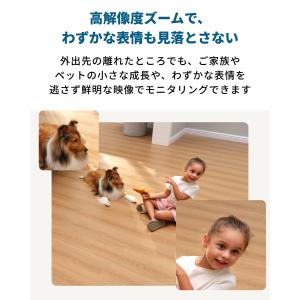 Anker Eufy Security Ind...の詳細画像1