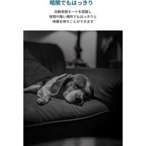 Anker Eufy Indoor Cam C...の詳細画像2