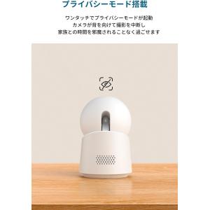 Anker Eufy Indoor Cam C...の詳細画像5