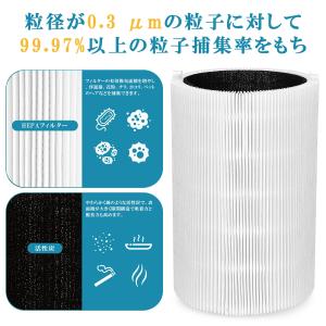 ブルーエア 空気清浄機 フィルター 10092...の詳細画像4