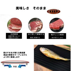 急速解凍 プレート 解凍 キッチン 放熱 魚 ...の詳細画像4