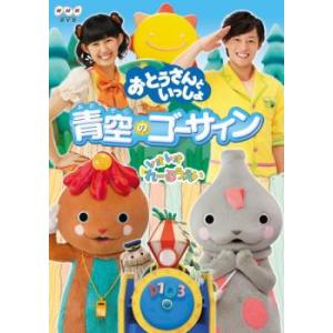 おとうさんといっしょ 青空のゴーサイン! レンタル落ち 中古 DVD ケース無