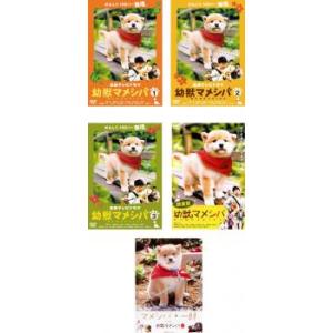 幼獣マメシバBOX〈4枚組〉 幼獣マメシバ DVD-BOX 中古DVD・ブルーレイ | ブックオフ公式