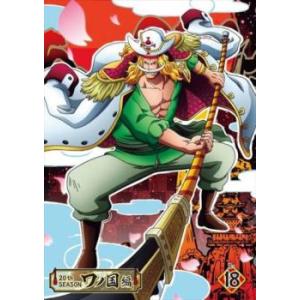 ONE PIECE ワンピース 20thシーズン ワノ国編 R-18 レンタル落ち 中古 DVD
