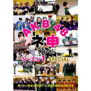 AKB48 ネ申 テレビ シーズン1 SPECIAL レンタル落ち 中古 DVD ケース無