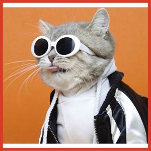 犬用サングラス 猫服 アクセサリー の商品一覧 猫用品 ペット用品 生き物 通販 Yahoo ショッピング