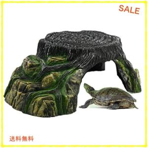 リクガメ ケージ レイアウトの商品一覧 通販 Yahoo ショッピング
