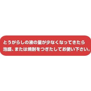 コーレーグース 島唐辛子 70g 沖縄産 香辛...の詳細画像3