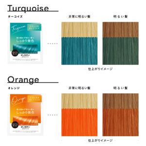 カラーバター 230g アンナドンナ トリート...の詳細画像5
