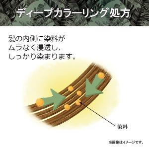 ヘアカラー 1剤40g 2剤80mL 50g ...の詳細画像5