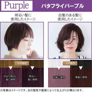 ヘアカラー 1剤40g 2剤80mL 50g ...の詳細画像2