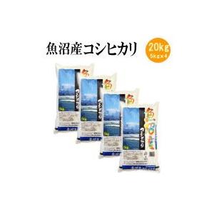 コシヒカリ お米 白米 魚沼産コシヒカリ20kg（5kgx4袋）（令和7年産