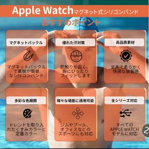 アップルウォッチ バンド Apple Watc...の詳細画像1