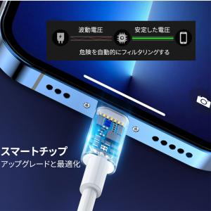 appleケーブル PD 充電器 Type-C...の詳細画像1