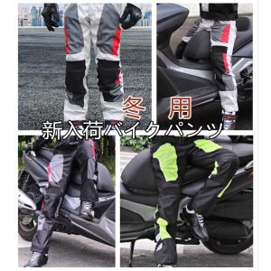 BERIK ベリック PROTECTION DENIM PANTS プロテクション デニム パンツ