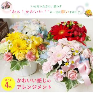バラ ギフト ばら 誕生日の花 ガーベラ かわ...の詳細画像1