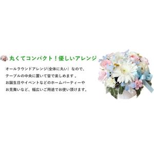 バラ ギフト ばら 誕生日の花 ガーベラ かわ...の詳細画像2