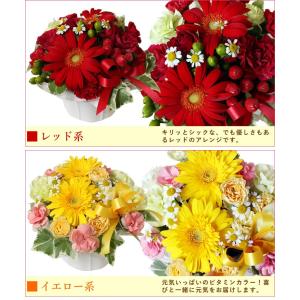 バラ ギフト ばら 誕生日の花 ガーベラ かわ...の詳細画像4