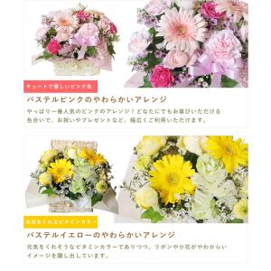 パステルカラーのやわらかアレンジ ギフト プレ...の詳細画像5