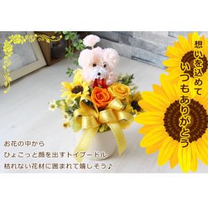 プリザーブドフラワー ドーリーと仲良し ひまわ...の詳細画像1