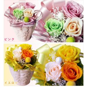 プリザーブドフラワー ギフト 選べる色 ノエル...の詳細画像1