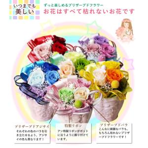 プリザーブドフラワー ギフト 選べる色 ノエル...の詳細画像4