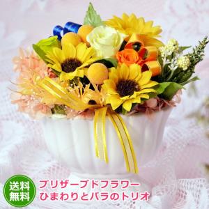 サウンドアレンジ 【楽天ランキング1位】ケース入りレインボー