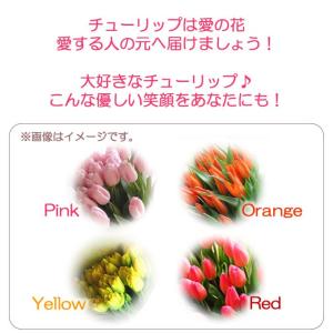 花束 花 ギフト チューリップと春のお花の花束...の詳細画像5