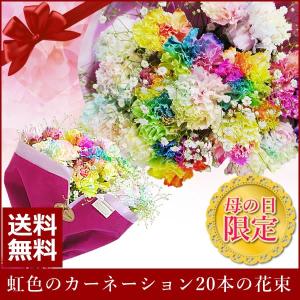 母の日 2022 花 花束 レインボーカーネーションの花束20本 ギフト 送料無料