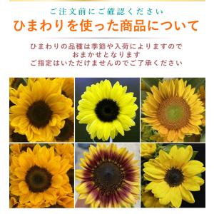 花 ギフト 誕生日プレゼント 女性 ひまわり ...の詳細画像1