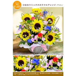 花 ギフト 誕生日プレゼント 女性 ひまわり ...の詳細画像4